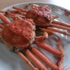 石川県・金沢市のカニ食べ放題まとめ6選【日帰りOKやランチ・ホテルも】